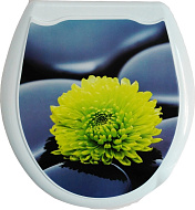 104-406-21 Сиденье для унитаза Океан Цветок, жесткое, с рисунком