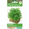 Микрозелень Кервель 2г