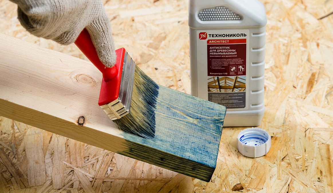 Профилактика гнили и жуков