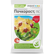 ПОЧКОРОСТ АВГУСТ 1,5г