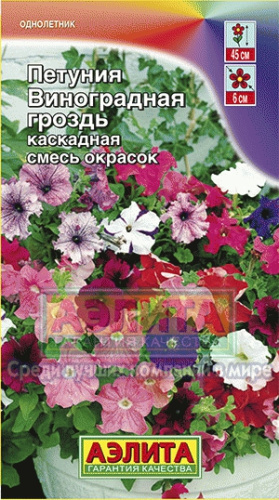 Петуния Виноградная гроздь каскадная 0,05-0,1гр