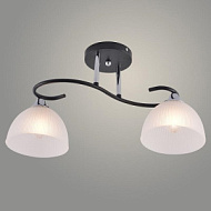 Люстра XA1635/2 BK+CR черный/хром 2х60W E27 d470 h260, HN25