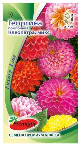 Георгина Клеопатра помпонная микс  0,1г/10