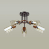 Потолочная люстра Lumion Fern 6*60W*E14 18кв.м