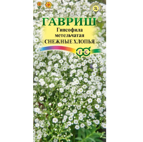 Гипсофила метельчатая Снежные хлопья 0,05гр
