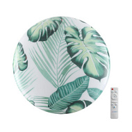 7748/DL PALE SN 125 Светильник светодиодный потолочный пластик/белый/зеленый LED 48Вт 3000-6000К D38