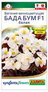 Бегония Бада бум F1 белая 5шт