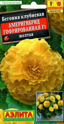 Бегония Америгибрид F1 желтая гофрированная 5шт  /10