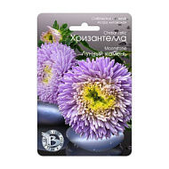 Астра Хризантелла Лунный камень 30шт