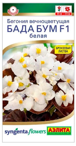 Бегония Бада бум F1 белая 5шт