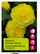 Бегония Дабл Йеллоу 4/5 2шт /Begonia Double Yellow