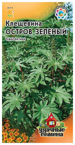 Клещевина Остров Зеленый 5 шт.