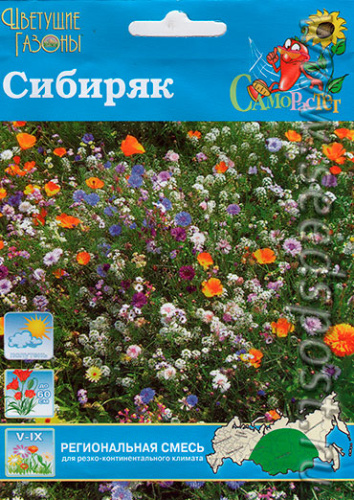 Газон цветущий Сибиряк 30гр